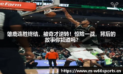 利来w66官方网站