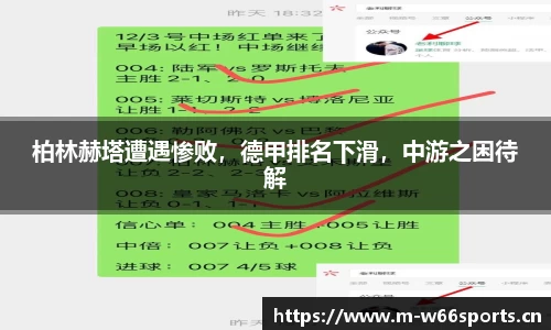 利来w66官方网站