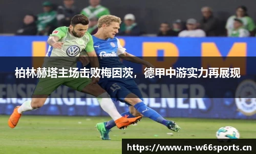 利来w66官方网站