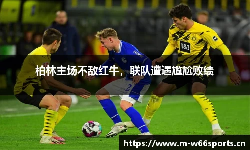 利来w66平台