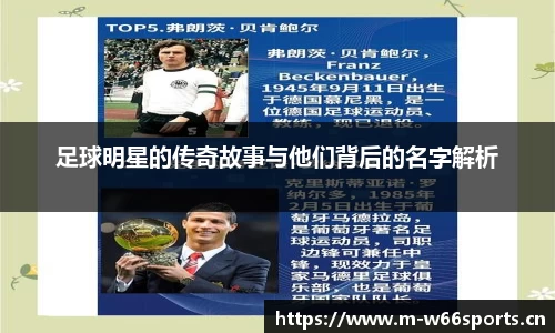 利来w66官方网站