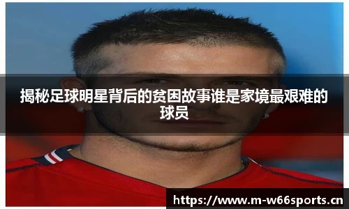 利来w66官方网站